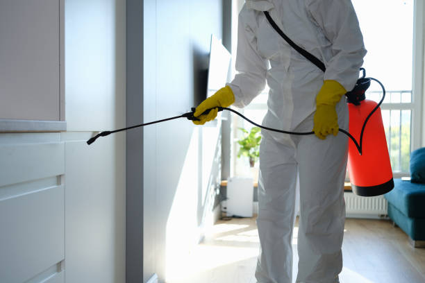 Best Mold Testing and Inspection Services in Pembroke, VA